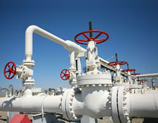 Energy and Petroleum Products Consulting Services